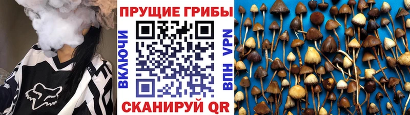 blacksprut рабочий сайт  Райчихинск  Псилоцибиновые грибы Magic Shrooms  купить наркотики цена 